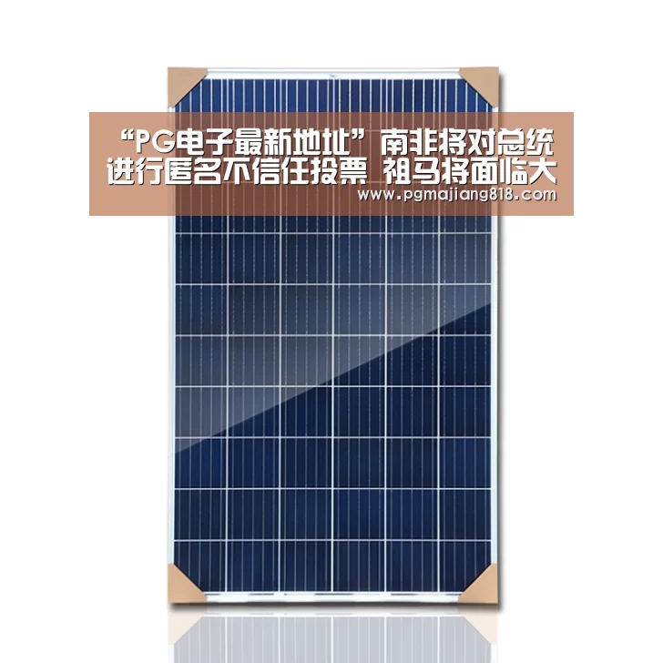PG麻将登录入口