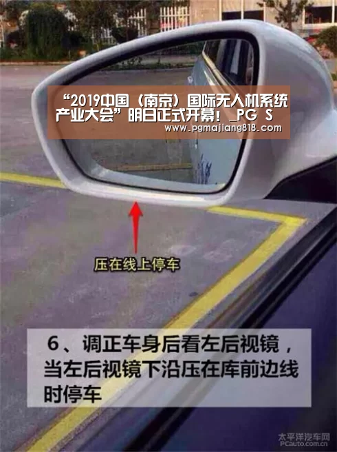PG麻将登录入口