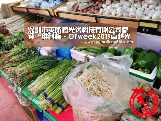 PG电子最新地址