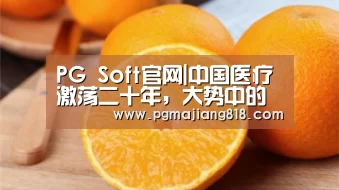 PG电子最新地址