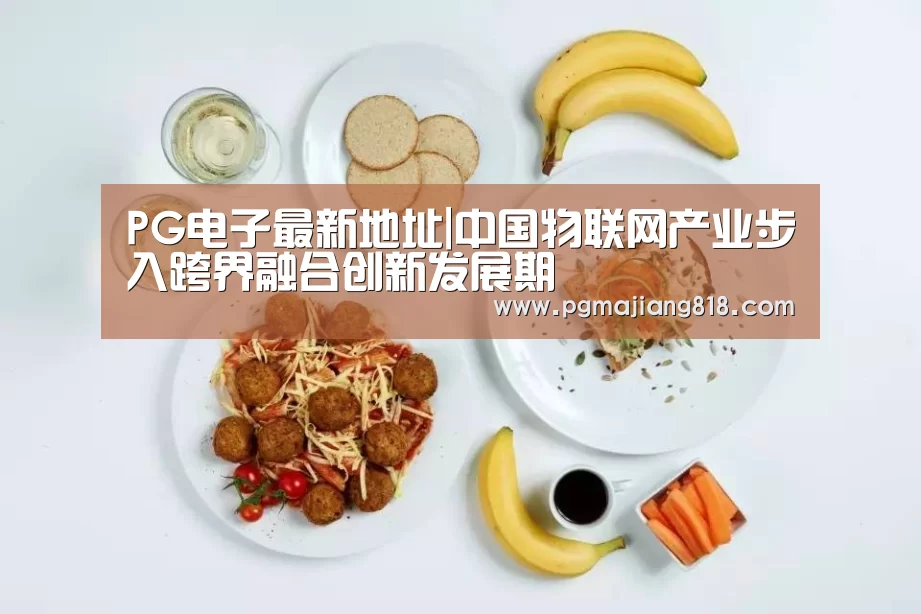 PG麻将登录入口